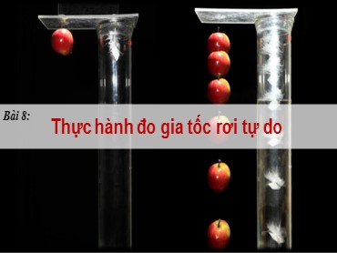 Bài giảng Vật lí Lớp 10 (Sách Chân trời sáng tạo) - Bài 8 Thực hành đo gia tốc rơi tự do - Năm học 2022-2023